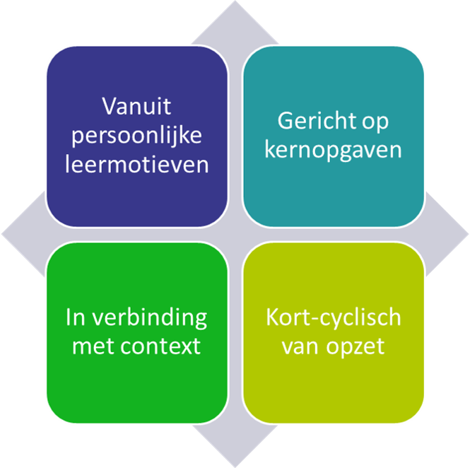 Ontwikkelen vanuit leermotieven_Kenmerken